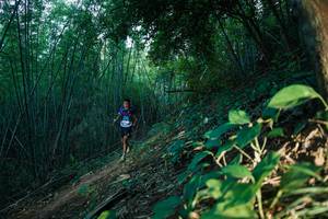 BIB: 
                            <button type="button" onclick="openModal(28124844)" class="btn btn-primary btn-sm float-right btn-popup" data-toggle="modal" data-target=".modal-high-quality">
                        <i class="fas fa-shopping-cart"></i> Add to Cart
                    </button>
                                            <button type="button" onclick="isThisMe(28124844, true)" class="btn btn-success btn-sm float-right btn-popup btn-isme hidden" data-toggle="tooltip" data-placement="bottom" title="นี่คือรูปของคุณใช่ไหม คลิกที่นี่เพื่อเอาเข้าอัลบั้ม">
                        <i class="fas fa-plus"></i> Add to album
                    </button>
                    <button type="button" onclick="isThisMe(28124844, false)" class="btn btn-warning btn-sm float-right btn-popup btn-isnotme hidden">
                        <i class="fas fa-ban"></i> Remove from album
                    </button>